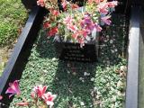 image of grave number 684521